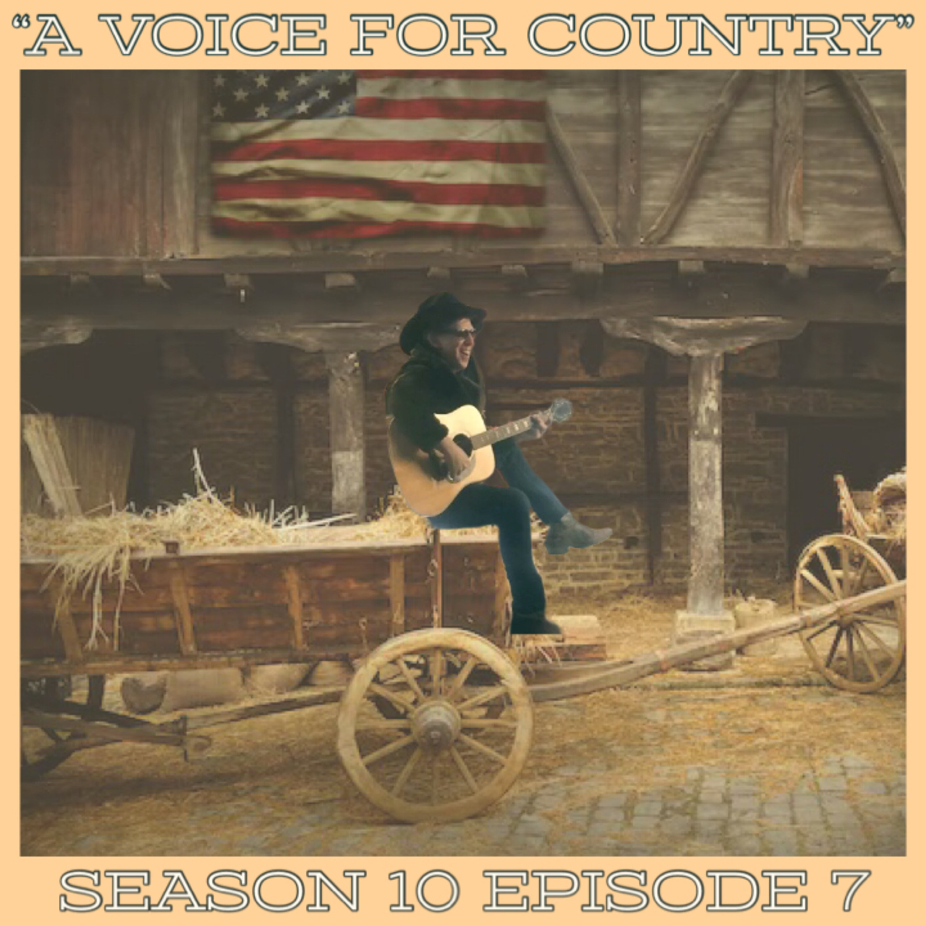 "A Voice For Country" (S10E7)