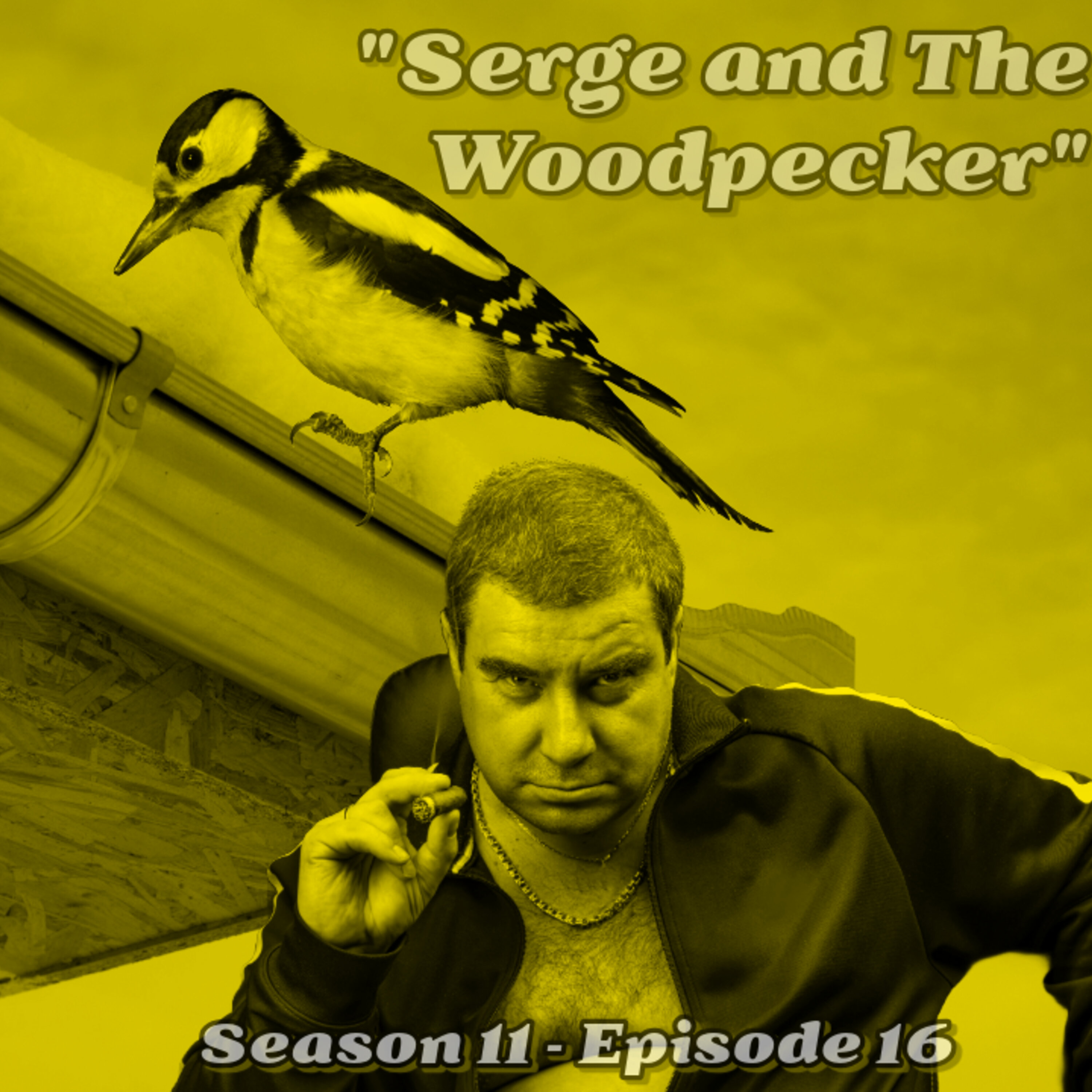 "Serge and The Woodpecker" (S11E16)