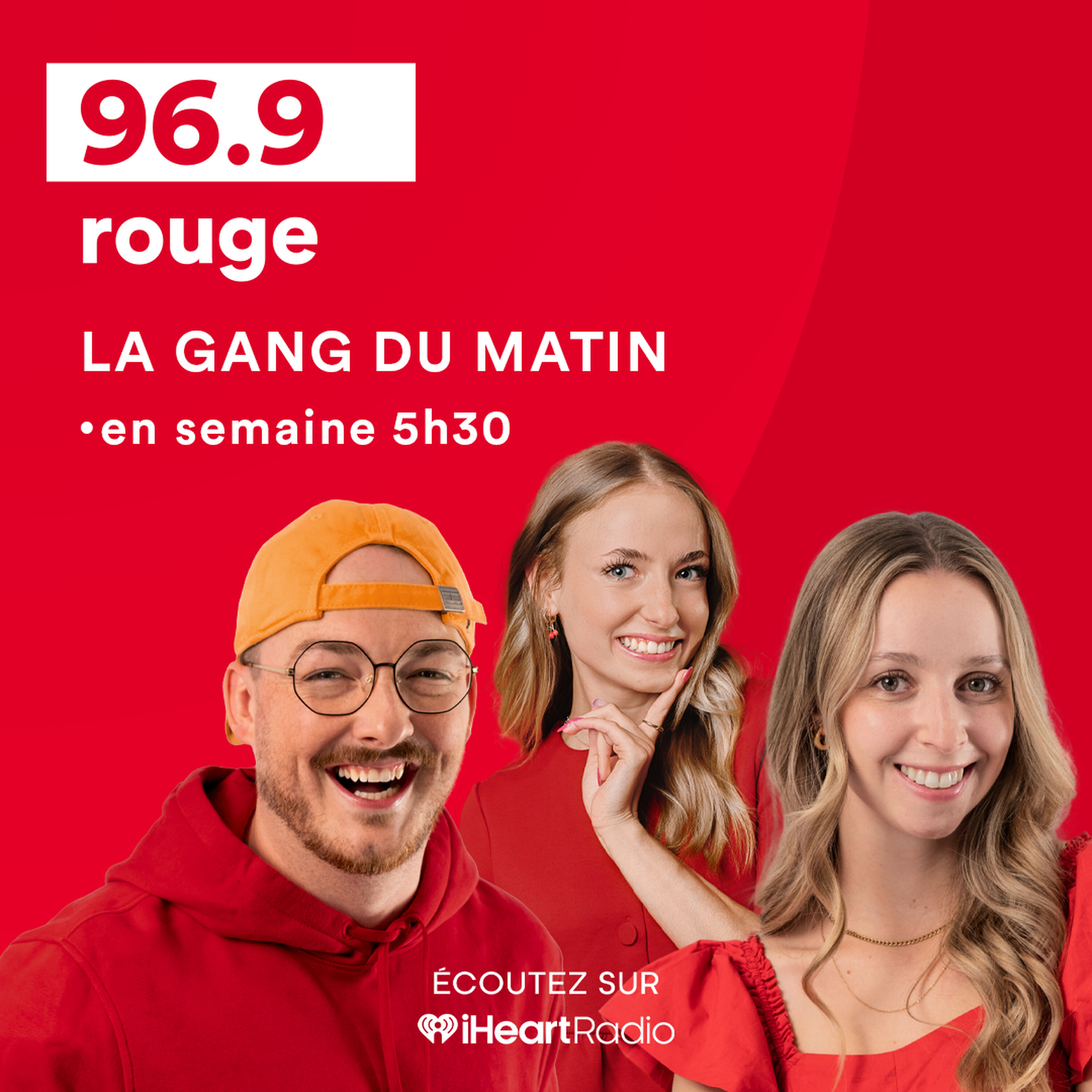 COCHON D'INDE