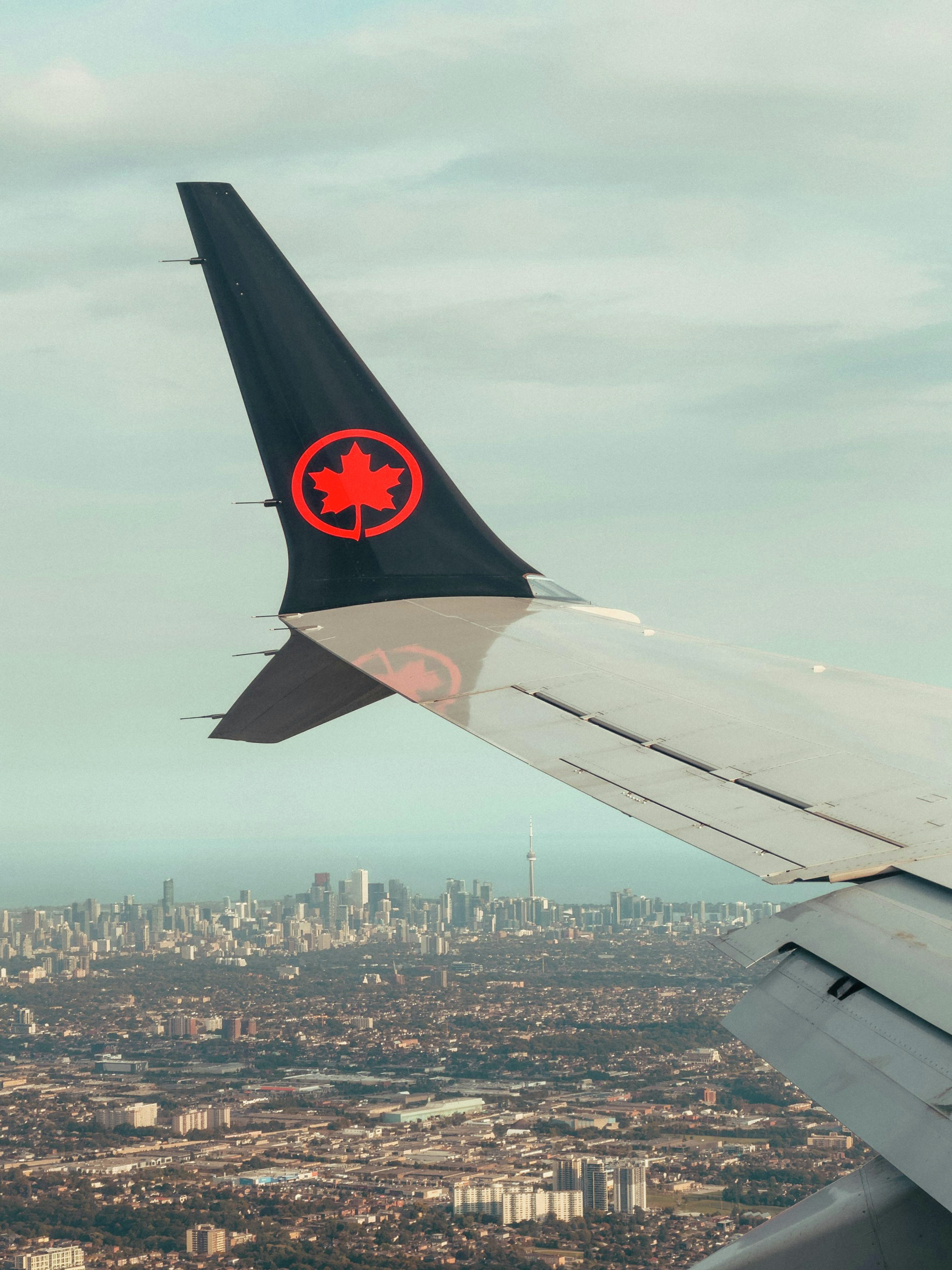 Hour 3: Moshe Lander, professor of economics at Concordia University, on taking issue with John Tory’s justification for the World Cup deal he signed while mayor, Aviation expert John Tory Jr on the bust of a former airline captain who flew hundreds of flights without a required license and free for all round two. episode artwork