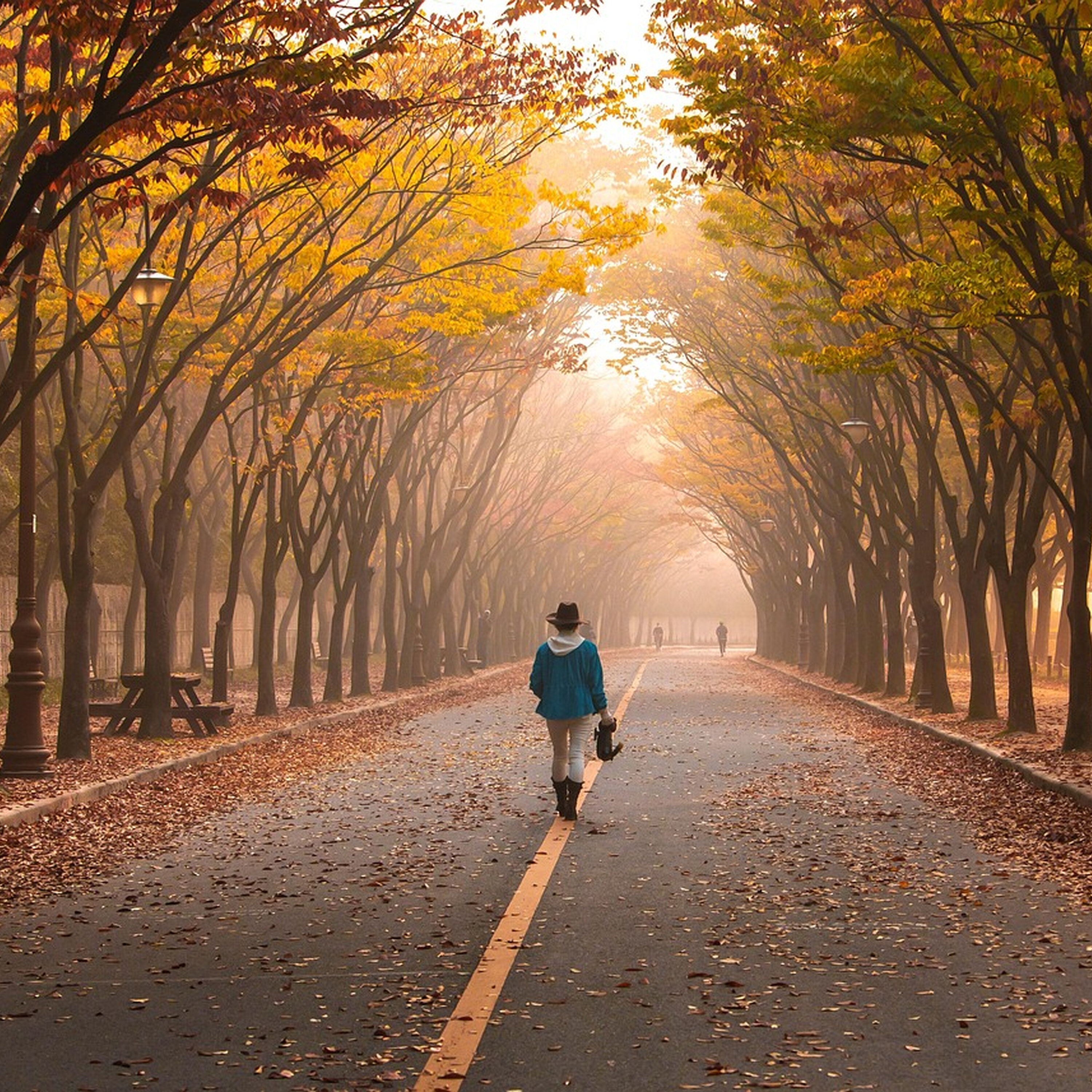 Hour 1: What kind of message is Finance Minister sending by requesting an appearance on Moore in the Morning? What parameters need to be met for police to be allowed to post a photo/name of a young offender and walking Makes Your Brain Hear Better. Hour 1: What kind of message is Finance Minister sending by requesting an appearance on Moore in the Morning? What parameters need to be met for police to be allowed to post a photo/name of a young offender and walking Makes Your Brain Hear Better.