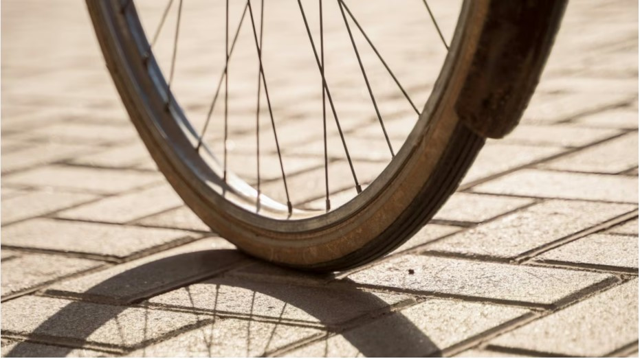 World Naked Bike Ride Happening in Halifax THIS WEEKEND! 