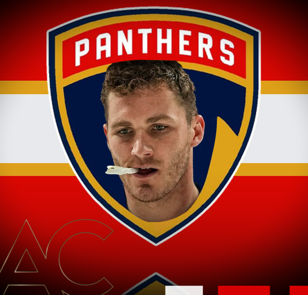 « Le vrai visage des Panthers »
