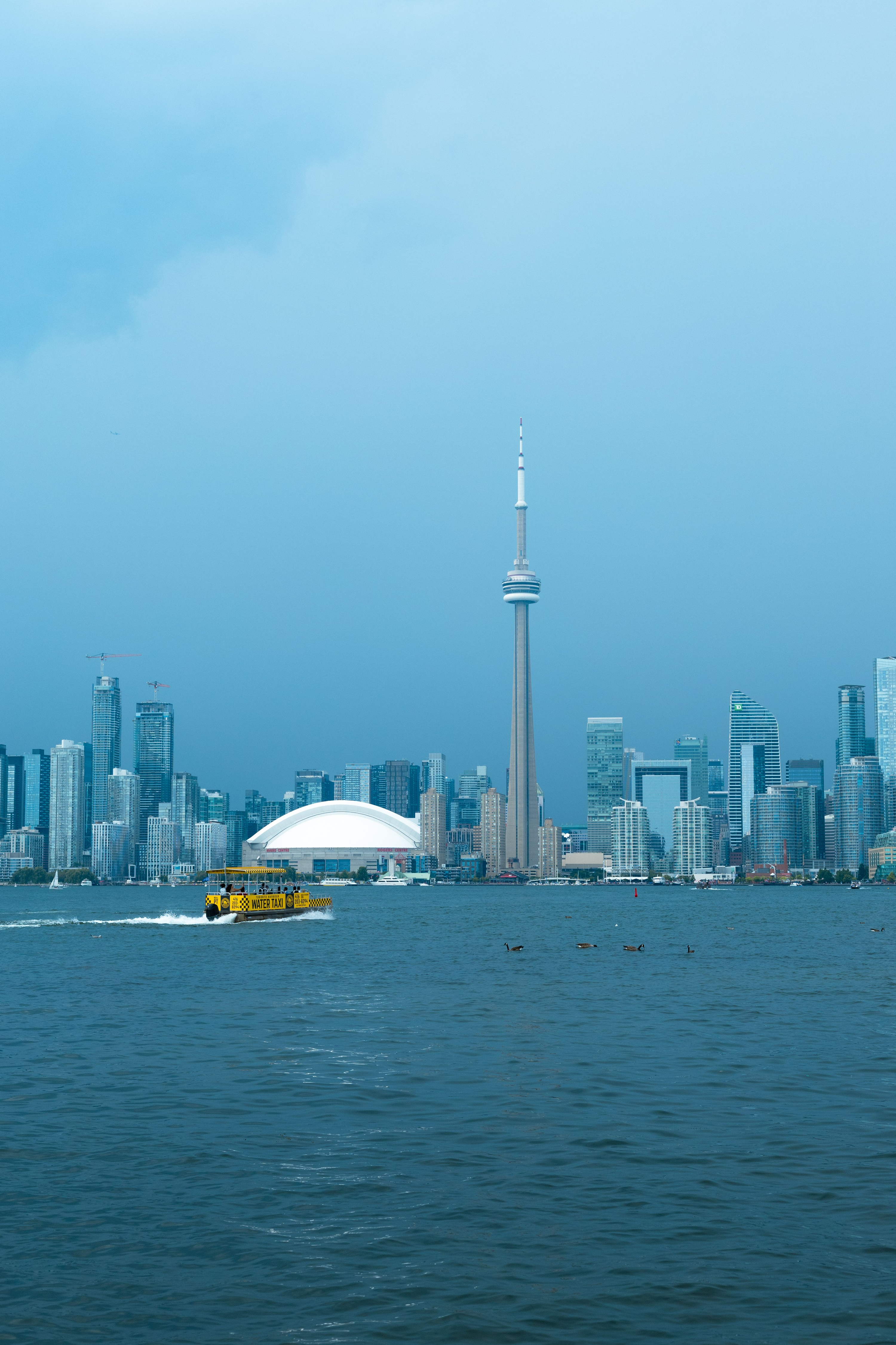 Toronto City Councillor @JoshMatlow tells @MooreintheAM about a new report from city staff warning that any expansion of Billy Bishop airport could result in major adverse impacts on housing, congestion, the environment and the waterfront as a whole. episode artwork