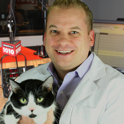 West Hill Animal Clinic - Dr Clayton Greenway