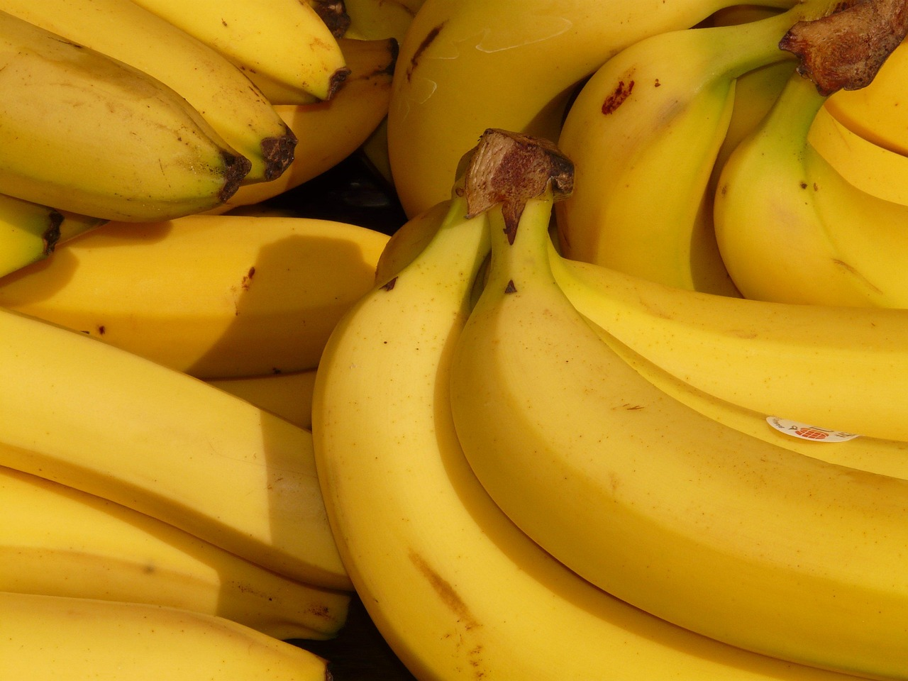 Test Tube Thursdays with NEWSTALK 1010 Science Expert @RiskinDan: Can eating a ripe banana get you a DUI?