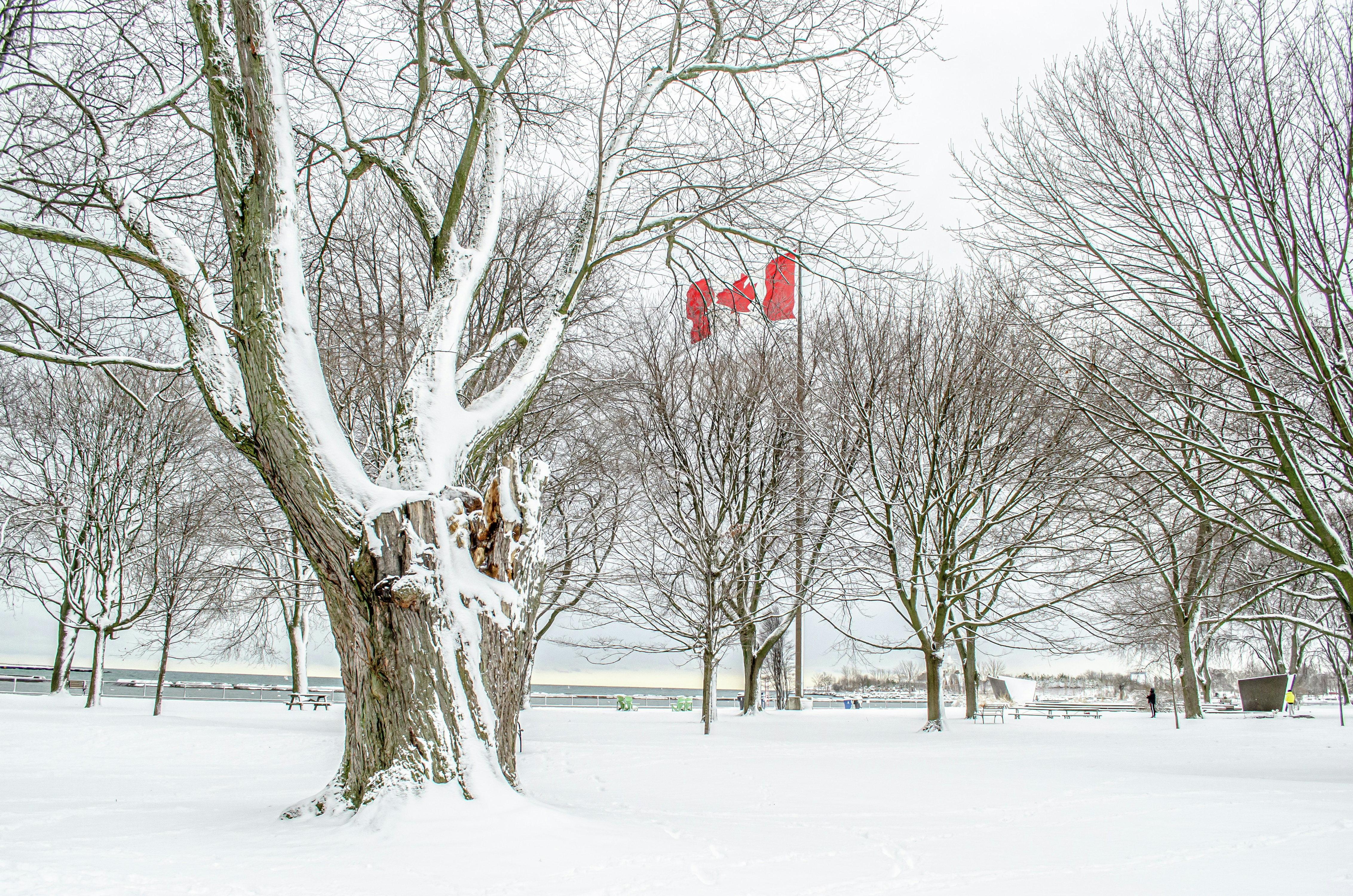 Canadian Army says new military sleeping bags not suitable for 'typical Canadian winter'