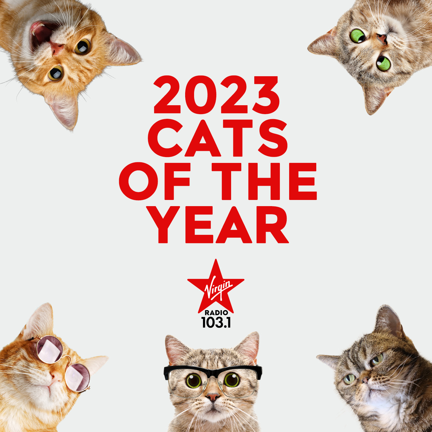 Meowdy, Folks!  Ep. 14 - 2023 Cats of the Year! Pt. 9 episode artwork