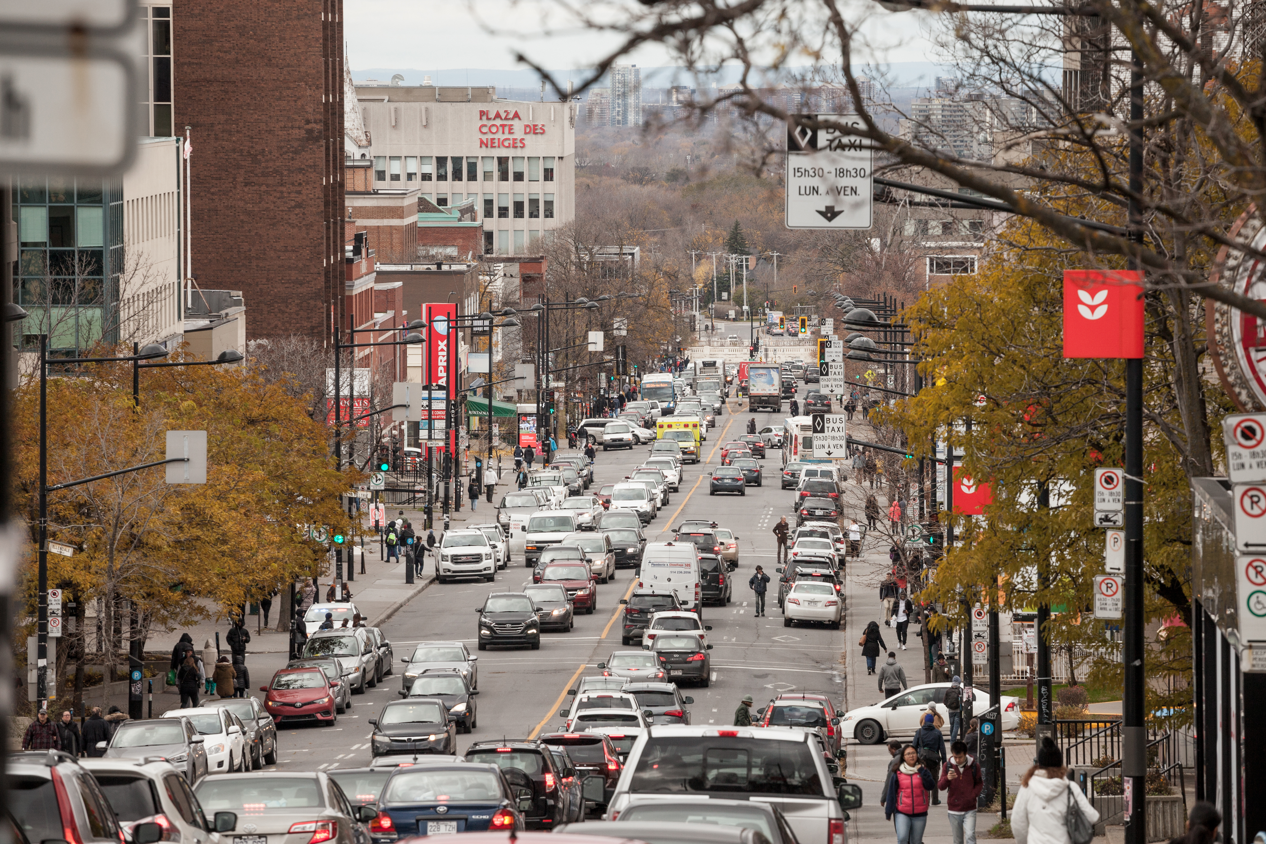 Exploring Canada's most multicultural neighbourhood: Cote-des-Neiges in Montreal episode artwork