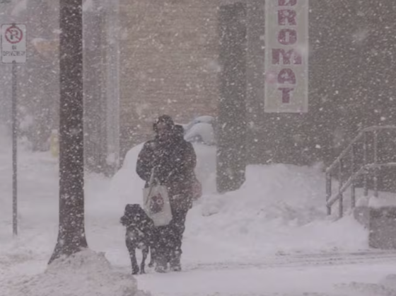 Polar Vortex and more Snow on the Way episode artwork