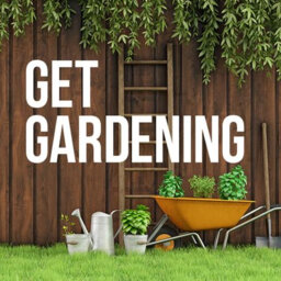 Get Gardening - Nov 26 2022