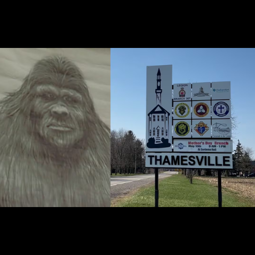 Chatham-Kent’s Bigfoot? Three sightings reported across the region episode artwork