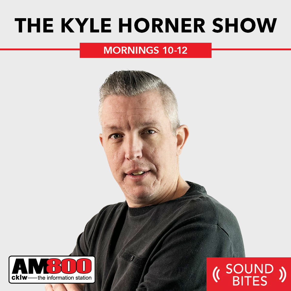 City Building: Art+Law: A Community Consultation