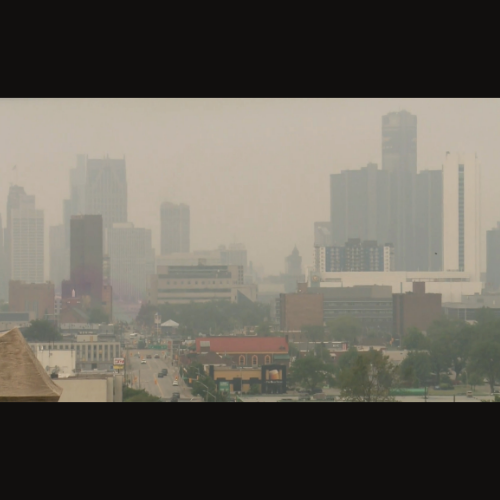 How can we fight Wildfires?