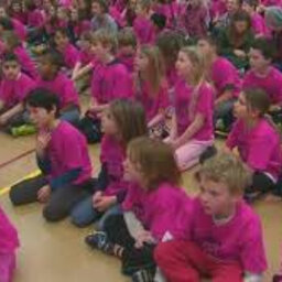 The Afternoon News - Pink Shirt Day In Windsor-Essex