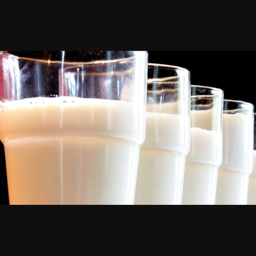 Got Milk? episode artwork