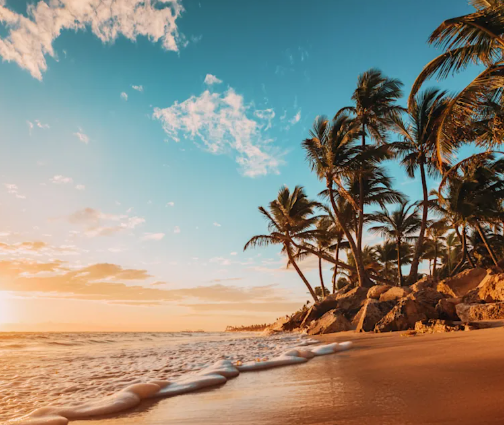 Flights to Sun Destinations from YQG have started episode artwork