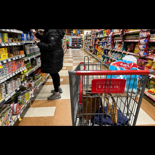 Diesel on the rise - is it going to make groceries more expensive?