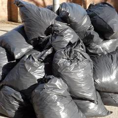 Essex Garbage Collection