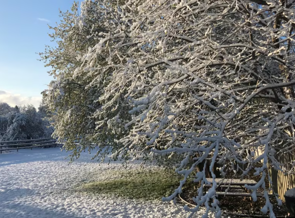 More Winter Weather on the Way episode artwork