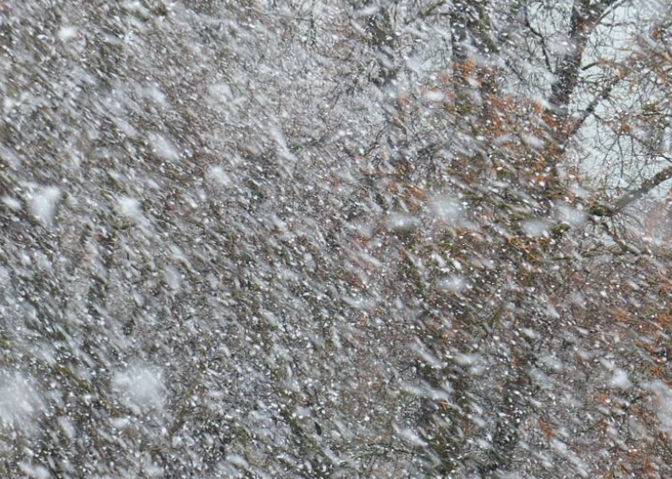 More snow on the way? episode artwork