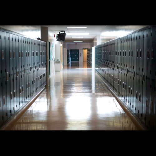 Ontario limiting, not axing, the role of school board trustees episode artwork