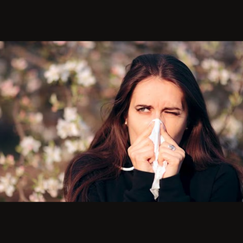Why is Windsor Canada’s worst place for allergy sufferers