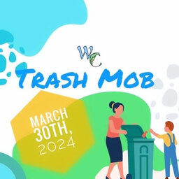 Trash mob helps clean Windsor