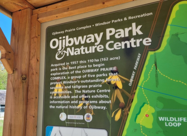 Mornings with Mike and Meg - Sound Bites