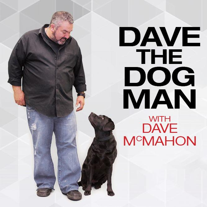 K9 Conversations with Dave The Dog Man