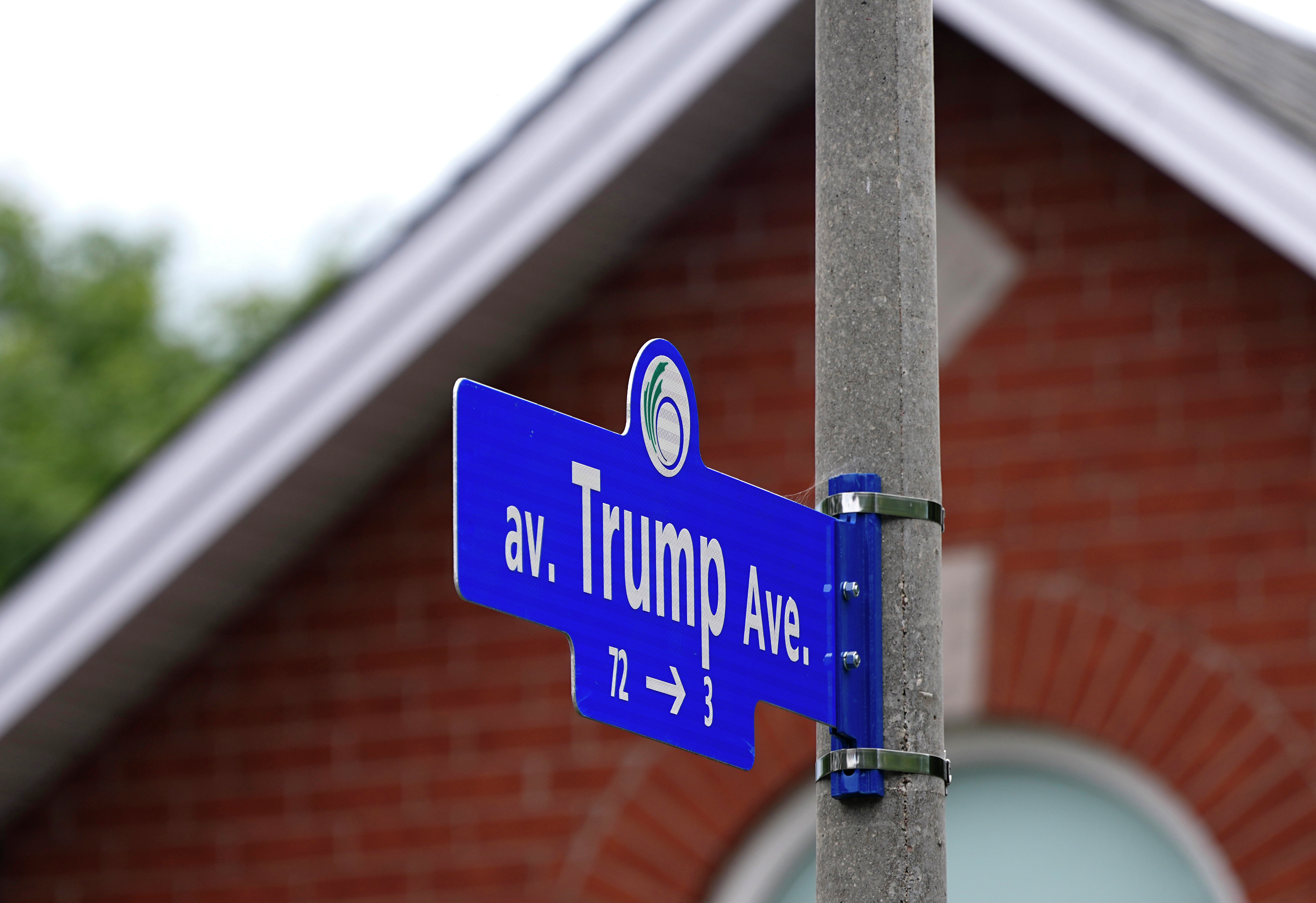 Trump Avenue in Ottawa wants to change its name episode artwork