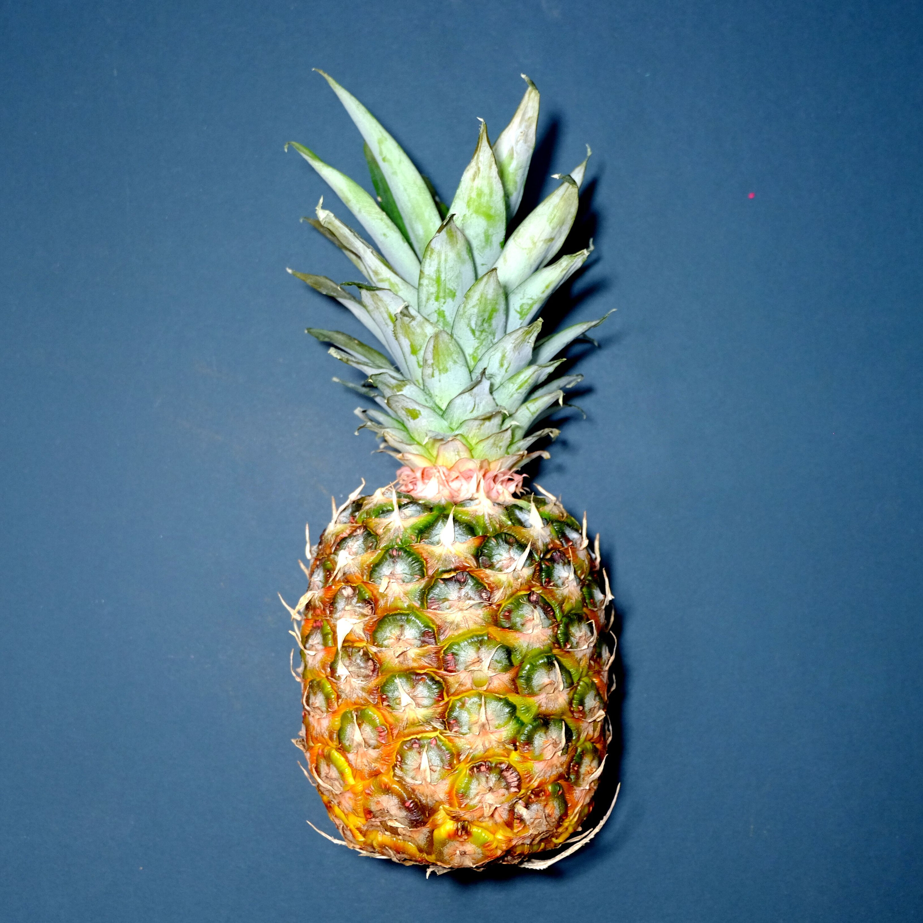 Just Wondering: How do exotic fruits make their way to Canadian grocery stores? episode artwork