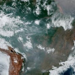 There has been a record number of fires this year in Brazil's Amazon rainforest