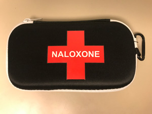 Little known facts about naloxone kits