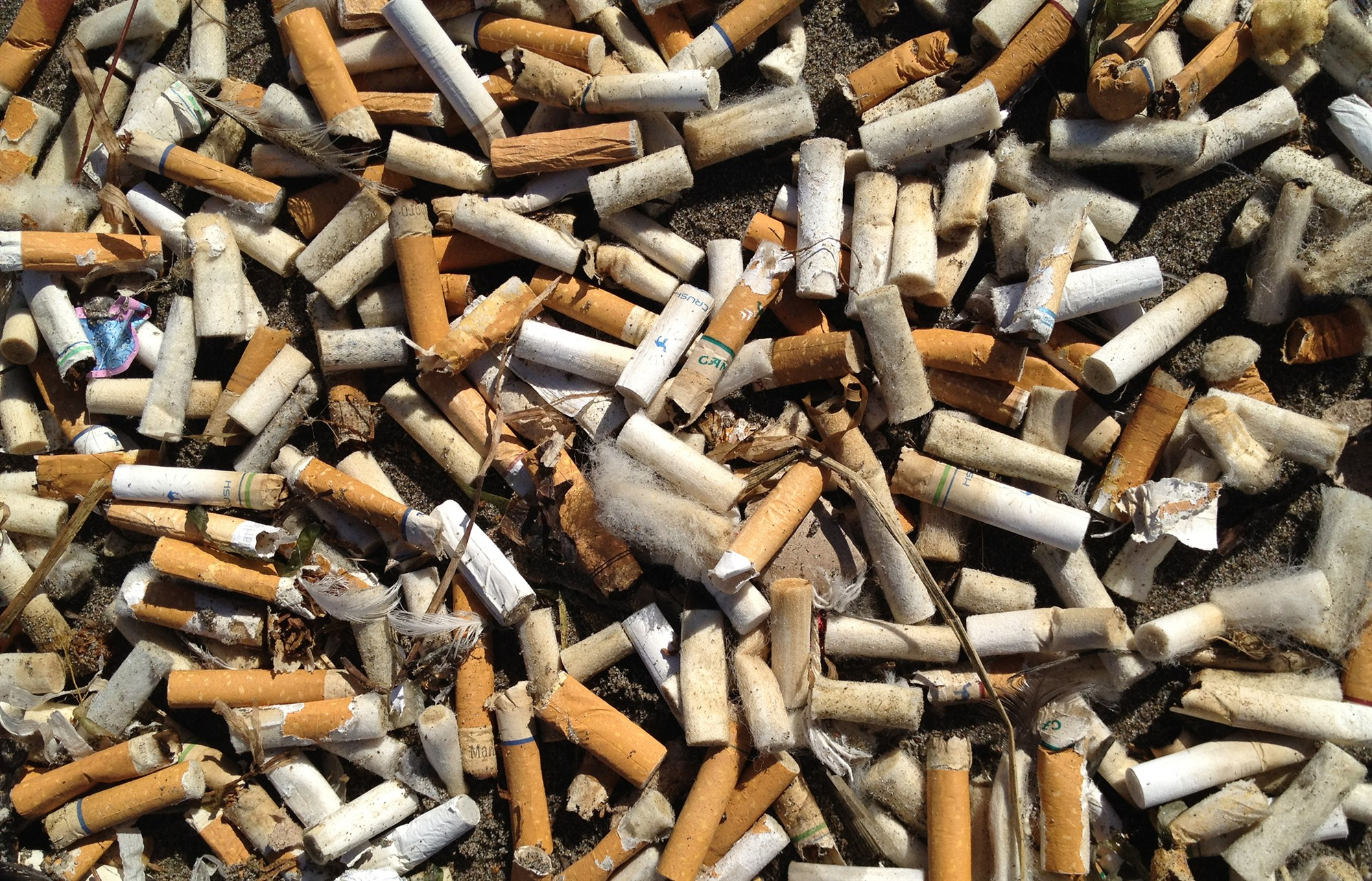 Clean up initiative to give away $1,500 to collect cigarette butts