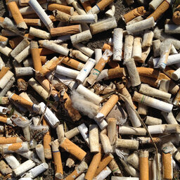 Clean up initiative to give away $1,500 to collect cigarette butts