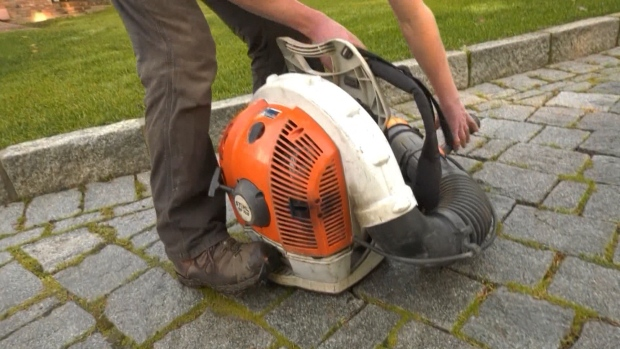 Saanich to consider banning gas-powered leaf blowers