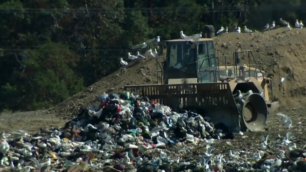 Bio solid waste at Hartland Landfill