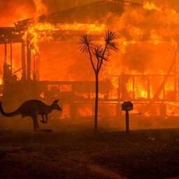 Fires in Australia – the situation there, climate change, and relationship to the fire climate on the Pacific coast