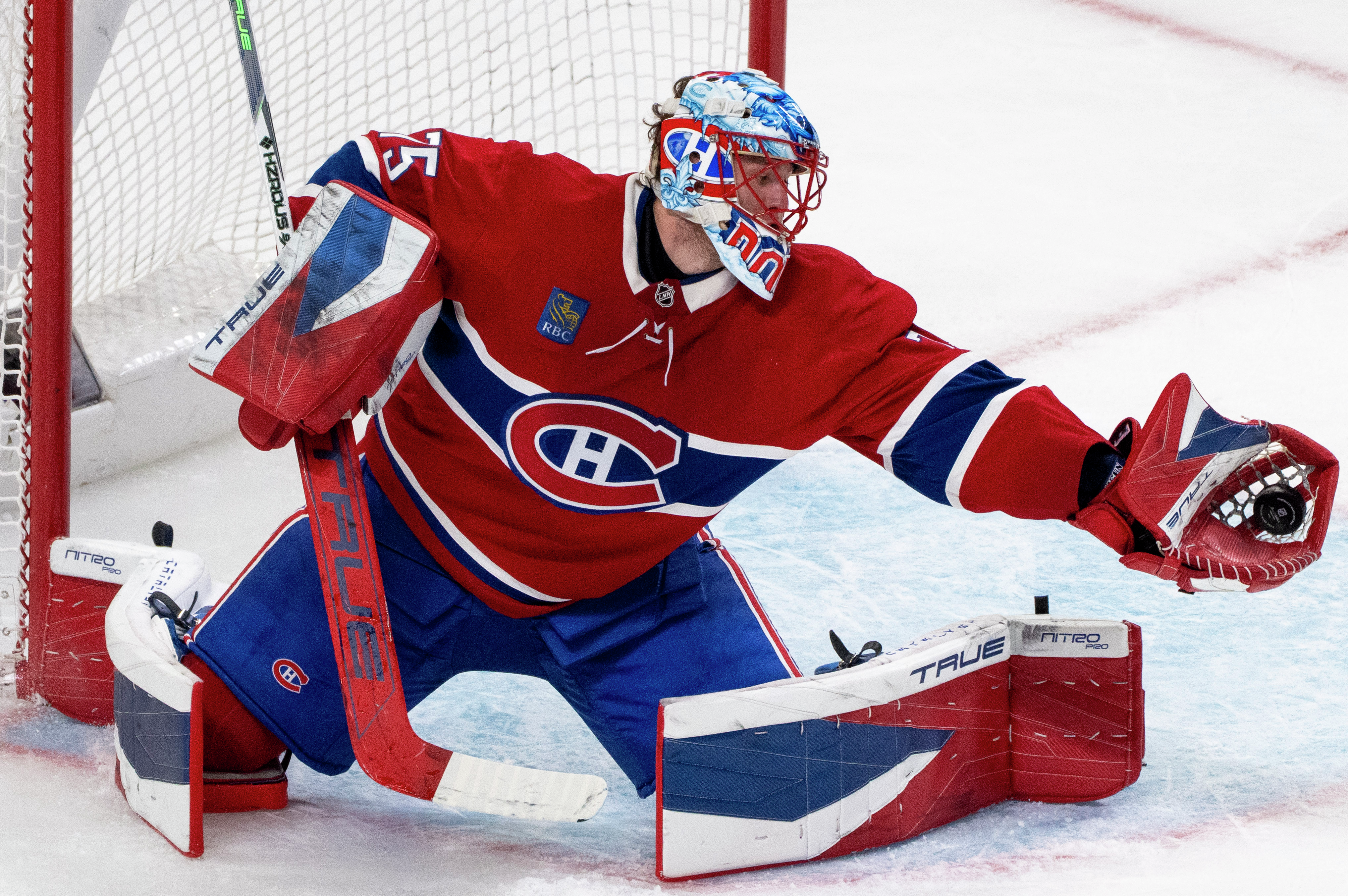 Marc Denis: The  NEXT Challenge For Dobes...