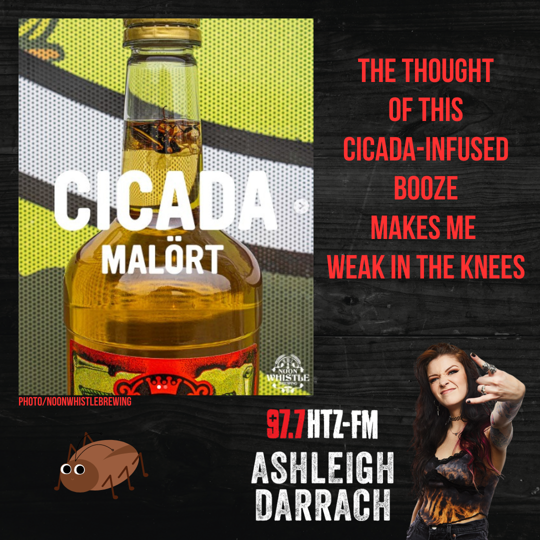This Is Some Of The Gnarliest Sh*t I've Heard Of... Cicada Booze?!