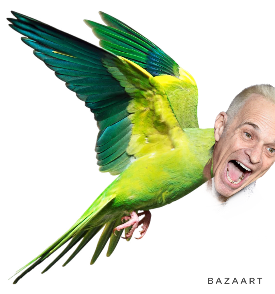 Soper, Brown, Ash & The David Lee Roth Bird