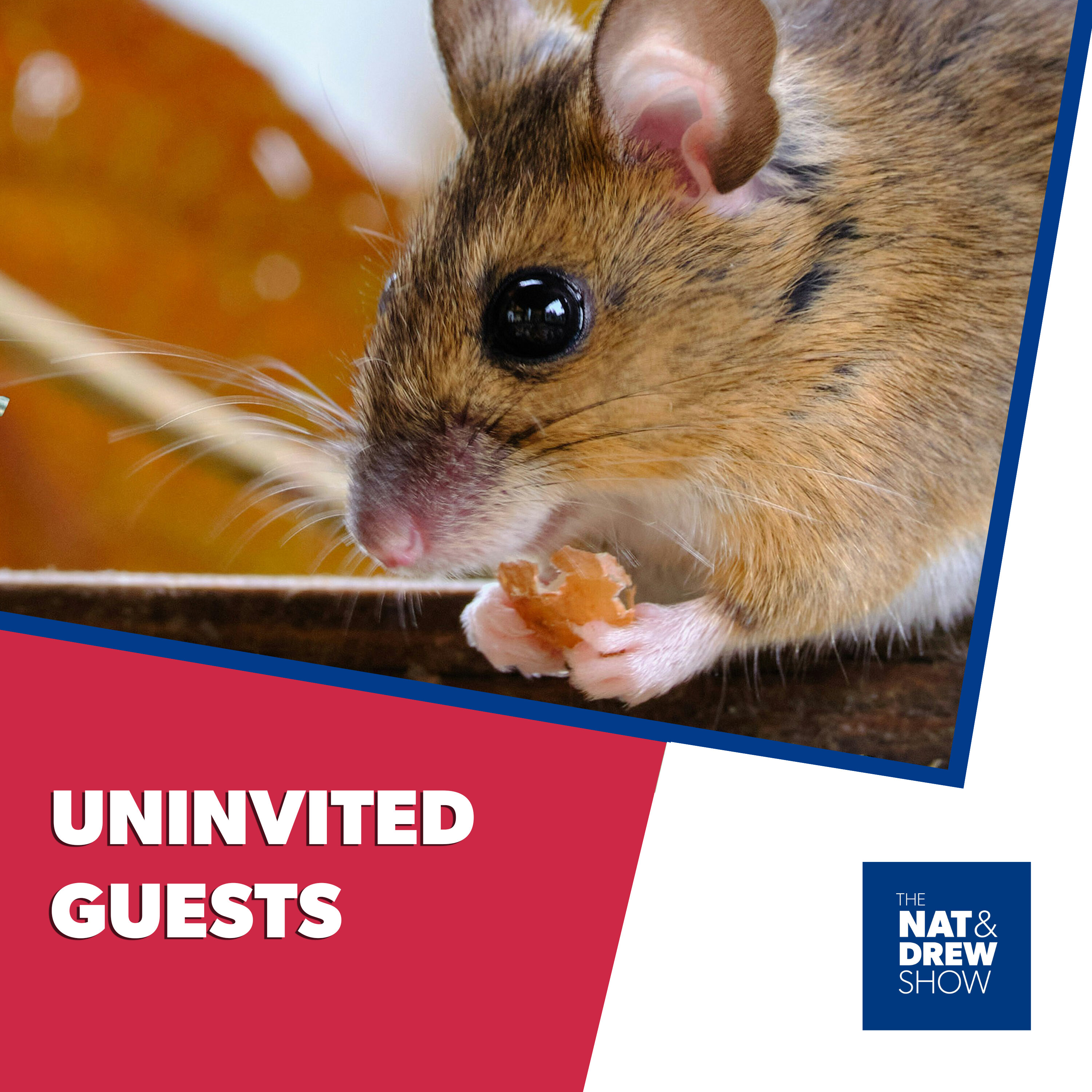 The Nat & Drew Show - When Mice Move In episode artwork