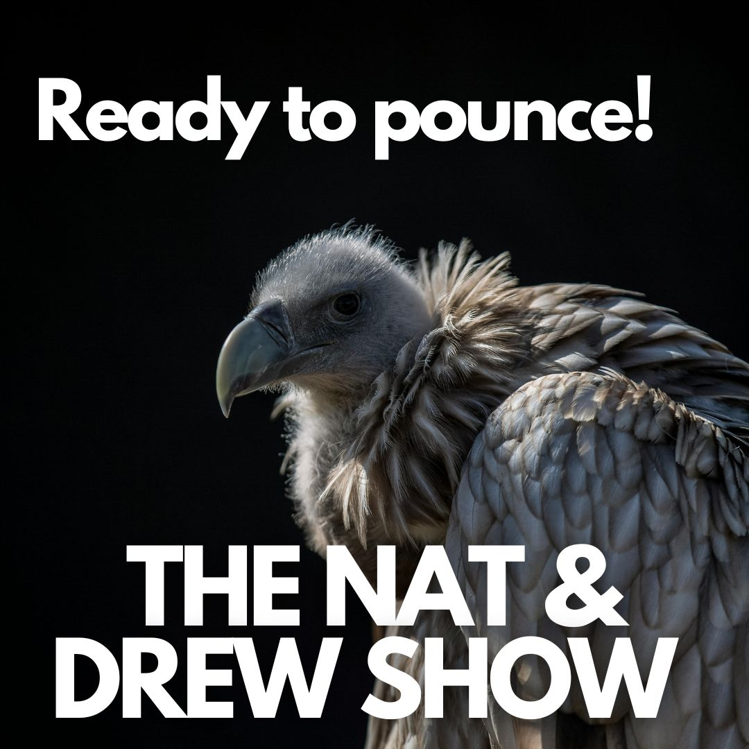 cover of episode The Nat & Drew Show - Is Drew a Vulture?