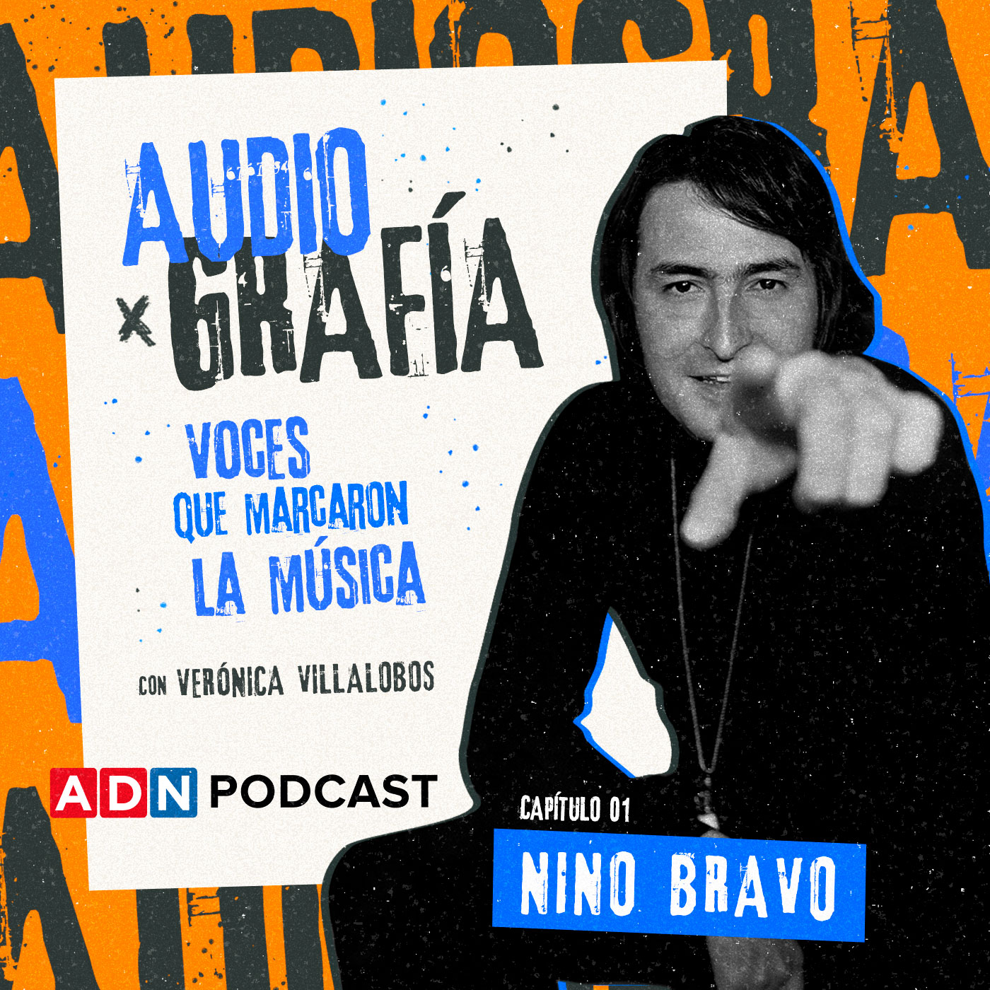 Imagen de Nino Bravo