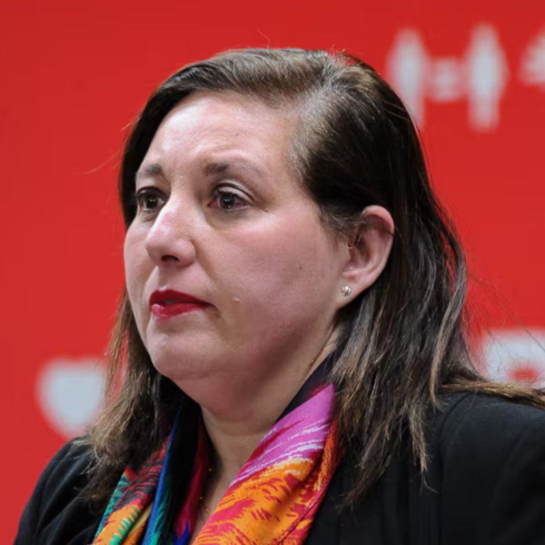 Imagen de Paulina Vodanovic y respuesta del gobierno a Argentina por Magallanes: 