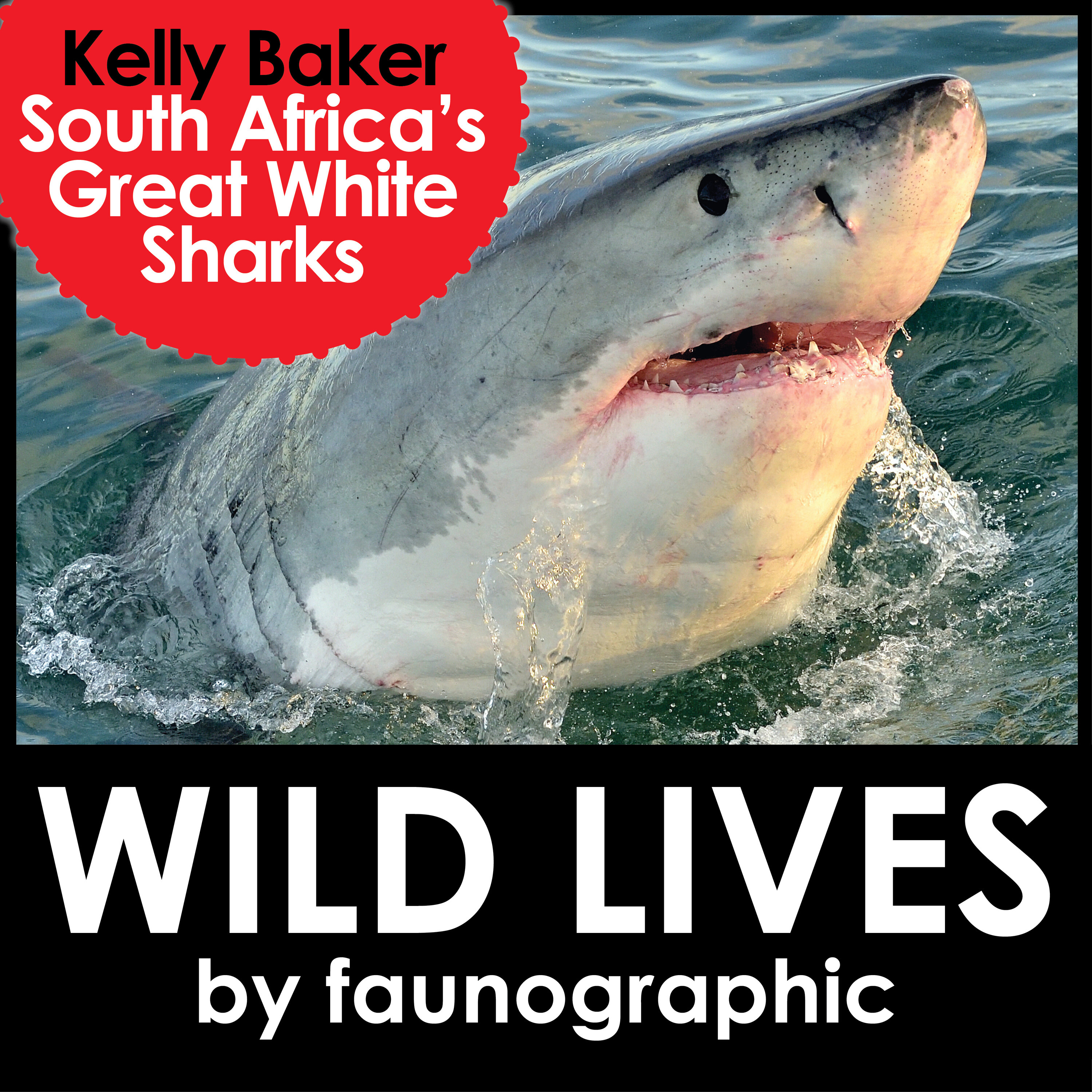 Great White Sharks of South Africa with Kelly Baker