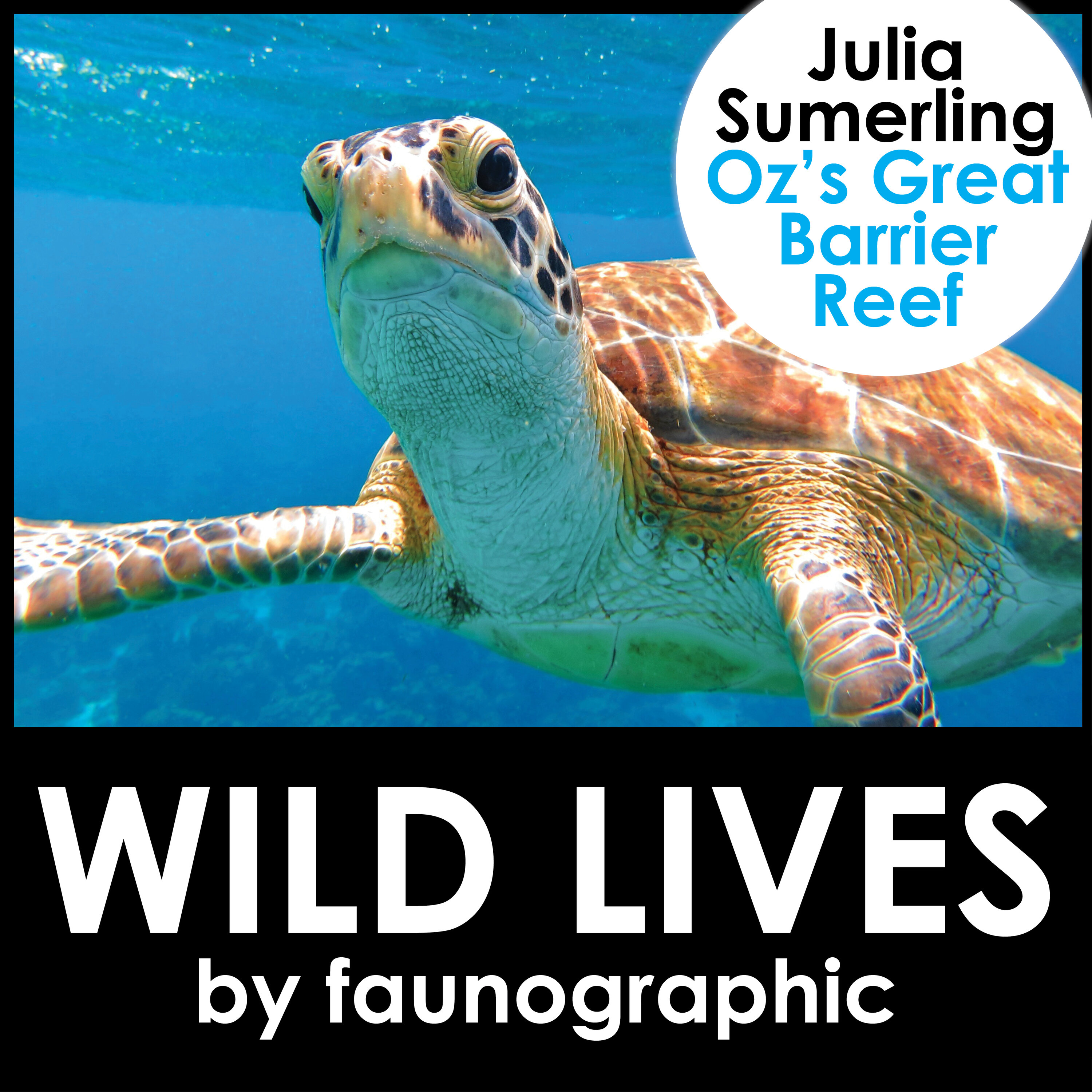 Great Barrier Reef with Julia Sumerling