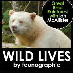 Ian McAllister's Great Bear Rainforest