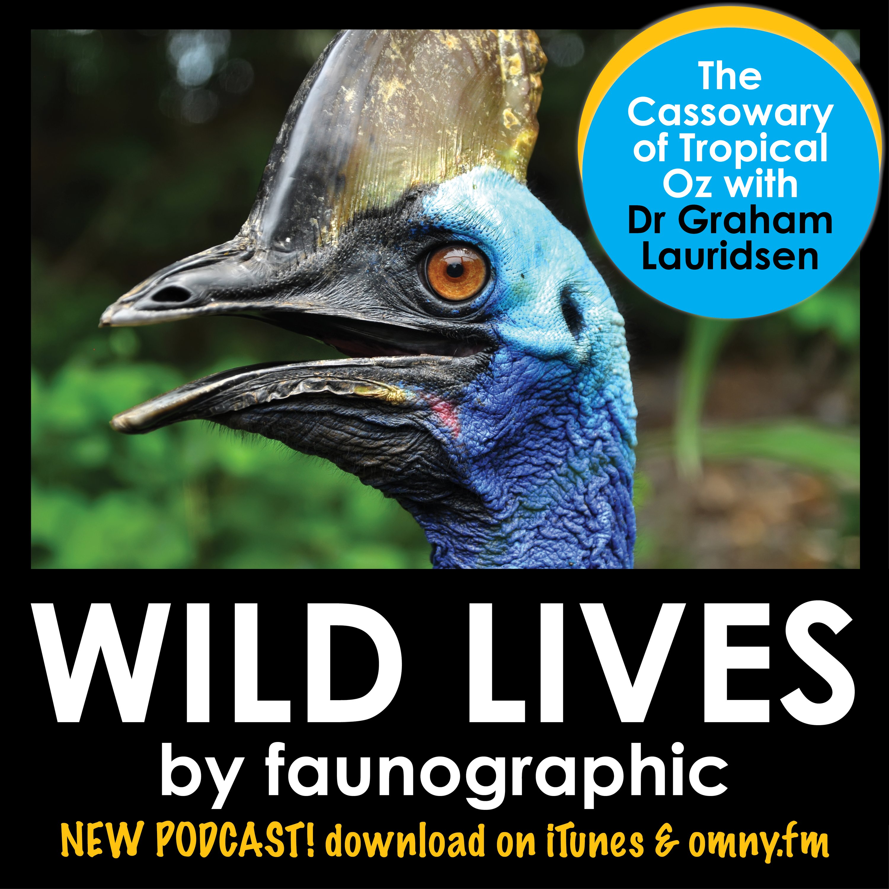 Dr Graham Lauridsen & Australia's cassowaries